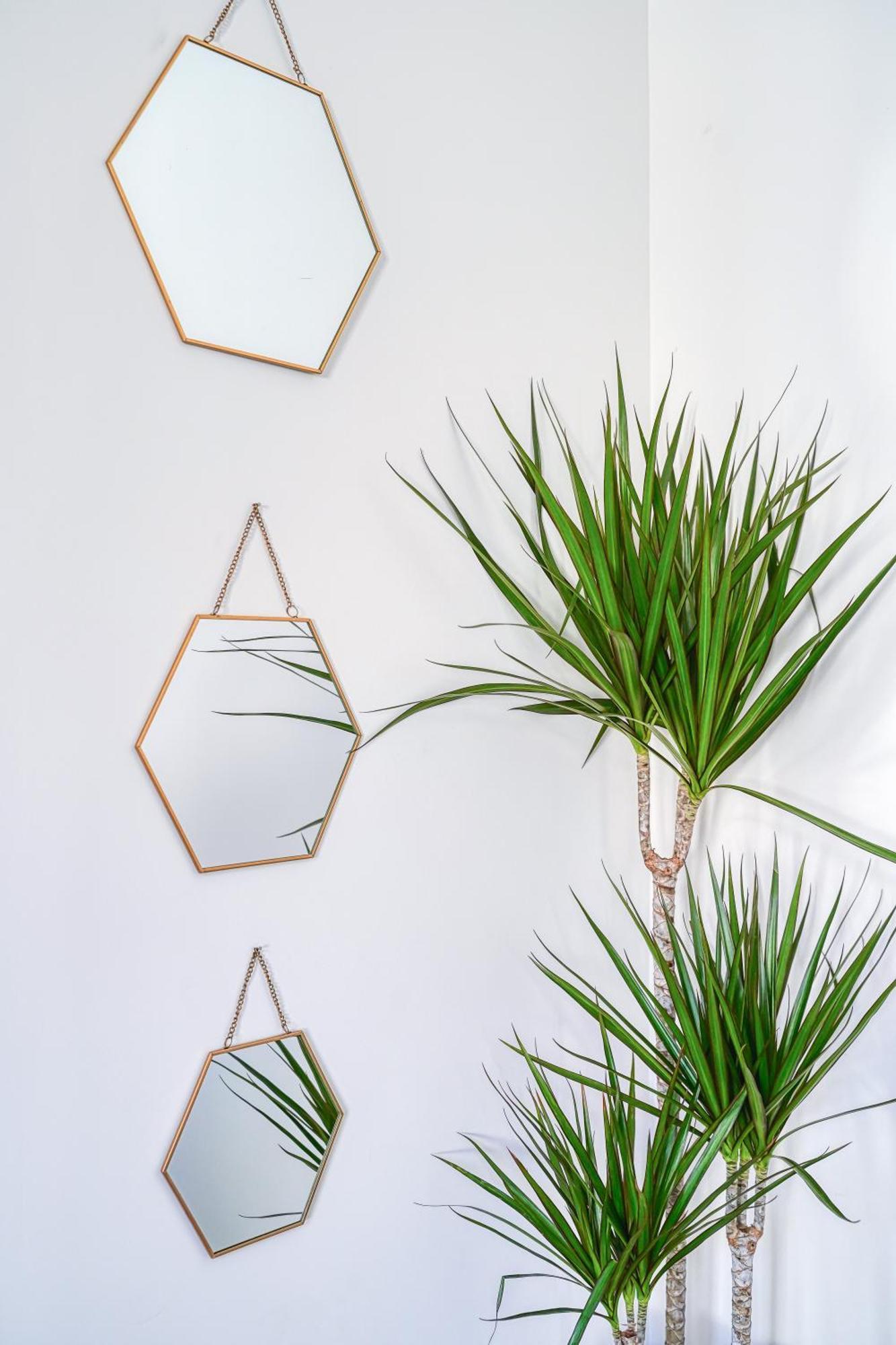 Evasion Cosy Et Lumineuse Appartement *